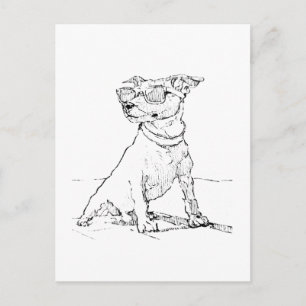 Postal Terrier Jack Russell