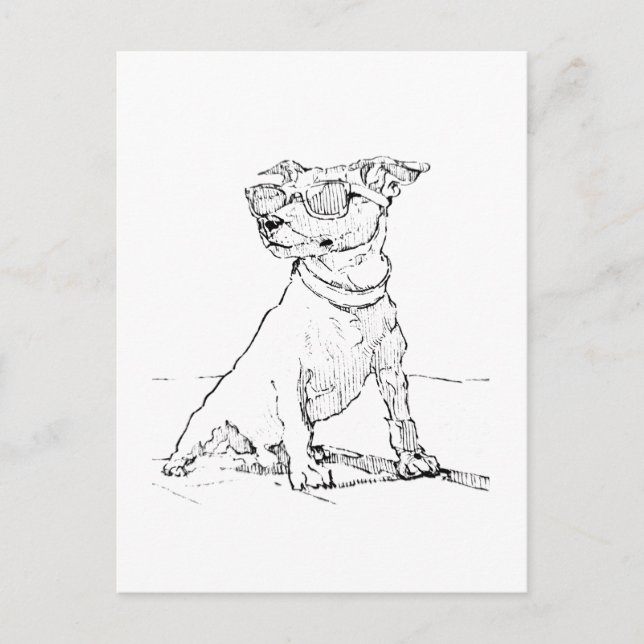 Postal Terrier Jack Russell (Anverso)