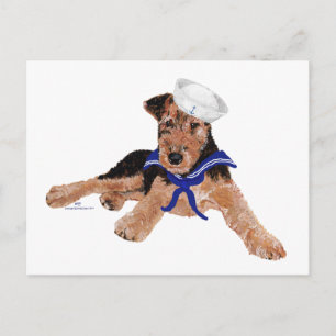 Postal Terrier Marinero Muchacho