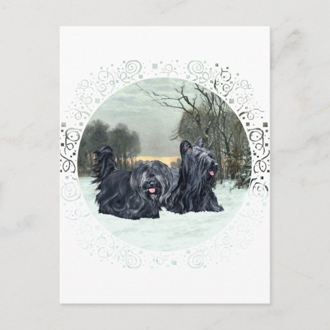 Postal Terrier Skye Atardecer Nevado (Anverso)