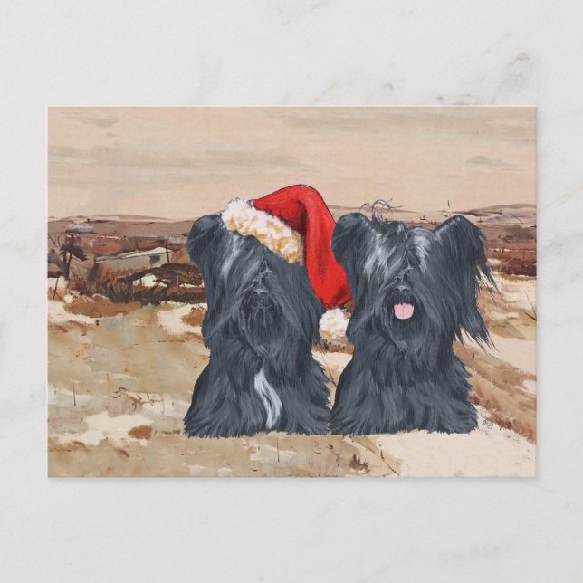 Postal Terrier Skye de invierno (Anverso)