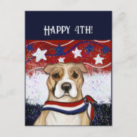 TERRIER STAFFORDSHIRE AMERICANO