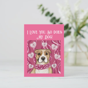 POSTAL TERRIER STAFFORDSHIRE AMERICANO