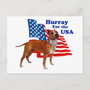 Postal Terrier Staffordshire Americano EE. UU.