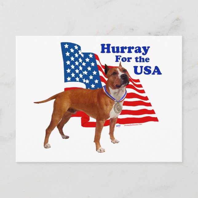 Postal Terrier Staffordshire Americano EE. UU. (Anverso)