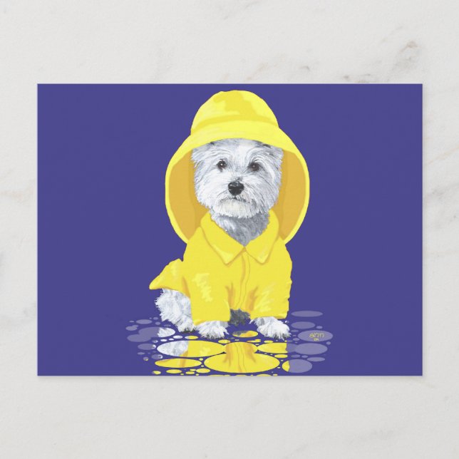 Postal Terrier West Highland Blanco Lluvias de Abril (Anverso)