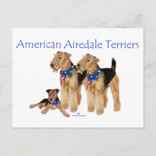 Postal Terriers Airedale Bandera Americana