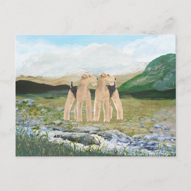 Postal Terriers en Irlanda (Anverso)