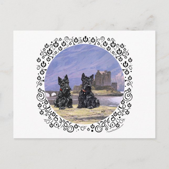 Postal Terriers escoceses en el castillo de Eilean Donan (Anverso)
