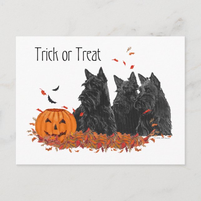 Postal Terriers Escoceses Halloween (Anverso)