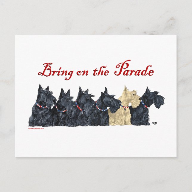 Postal Terriers Escoceses negros y trigueños (Anverso)
