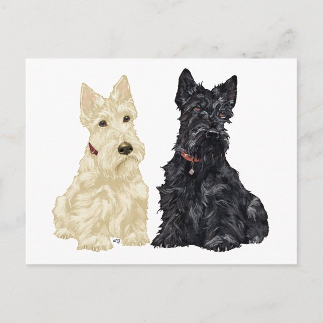 Postal Terriers Escoceses Trigosos y Negros (Anverso)