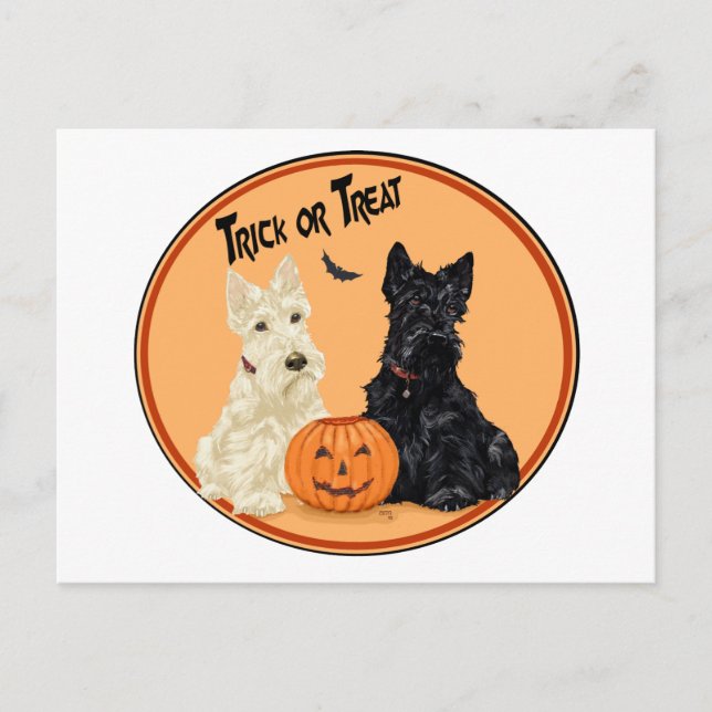 Postal Terriers escoceses trigueños y negros Halloween (Anverso)