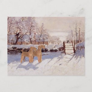 Postal Terriers Irlandeses en Invierno