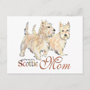 Postal Terriers Wheat Scottish para el Día de la Madre
