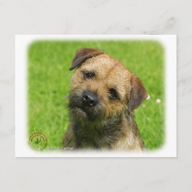 Postal Territorio Fronterizo 9W009D-127 (Anverso)