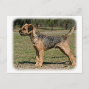 Postal Territorio Fronterizo 9Y325D-033