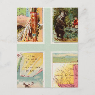 Postal Territorio Indio, Nuevo México, Dakota del Sur, Te