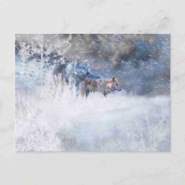 POSTAL TERRITORIOS WOLF WINTER (Anverso)