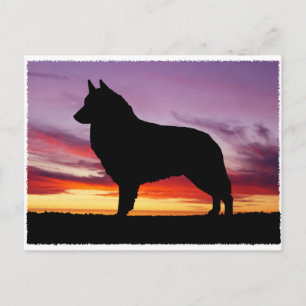 Postal Tervuren belga