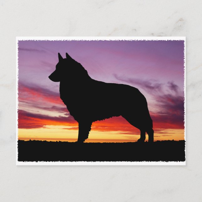 Postal Tervuren belga (Anverso)