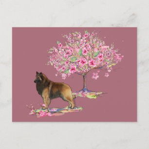Postal Tervuren belga