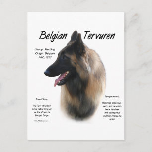 Postal Tervuren belga conoce a la raza