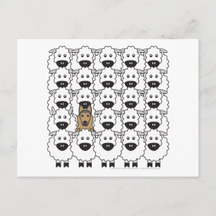 Postal Tervuren belga en oveja