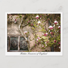 Postal Tesoros de Inglaterra, Flores de Magnolia, Gran Br