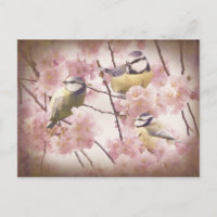 Tetas azules vintage