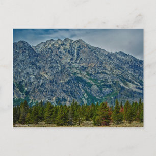 Postal Teton NP 6901