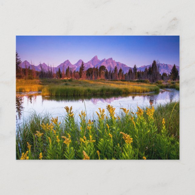 Postal Teton Sunrise (Anverso)