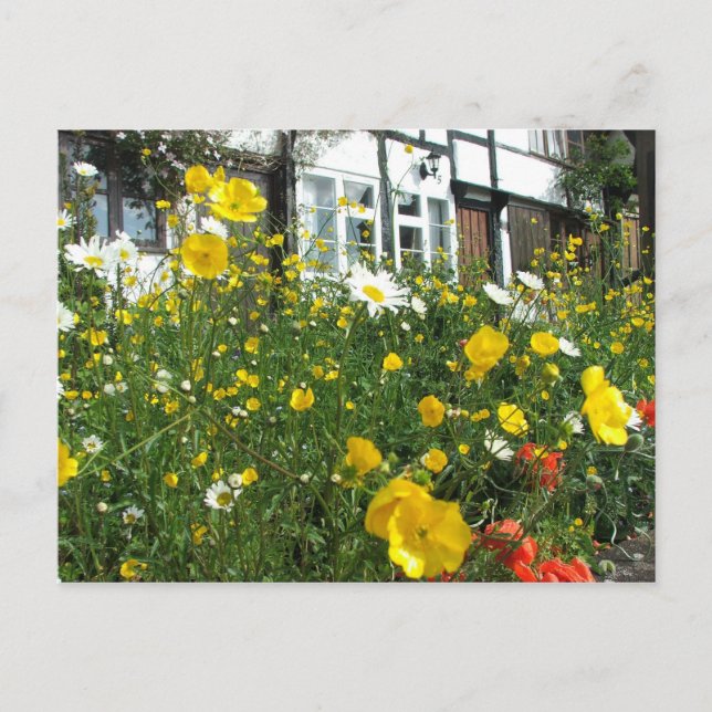 Postal Tewkesbury cabañas y Jardín (Anverso)