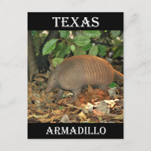 Postal Texas Armadillo