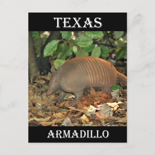 Postal Texas Armadillo (Anverso)
