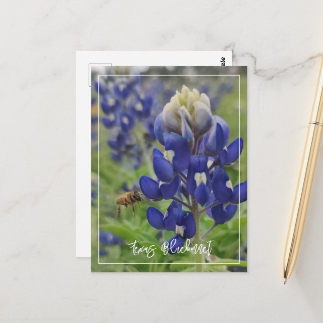 Postal Texas Bluebonnet (Anverso/Reverso In Situ)