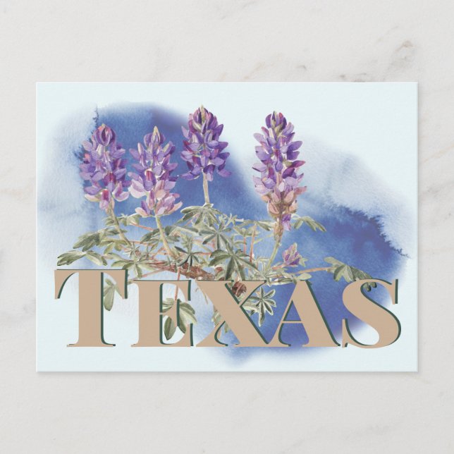 Postal Texas Bluebonnet 2 (Anverso)