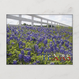 Postal Texas Bluebonnets