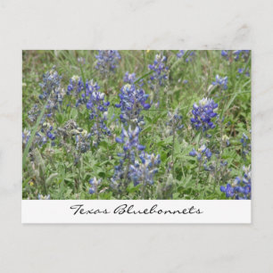 Postal Texas Bluebonnets
