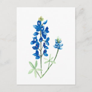 Postal Texas Bluebonnets