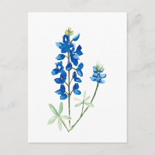 Postal Texas Bluebonnets (Anverso)