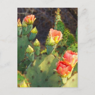 Postal Texas Cactus 2