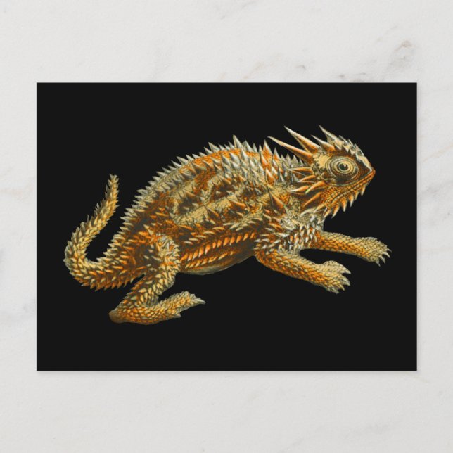 Postal Texas Horned Lizard (Anverso)