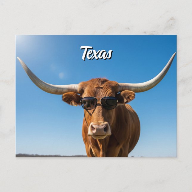 Postal Texas longhorn con gafas de sol (Anverso)