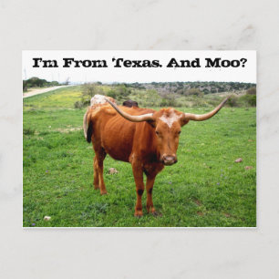 Postal Texas Longhorn Con Tejas Divertidas