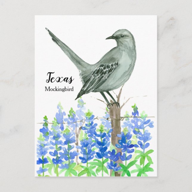 Postal Texas Mockingbird Bluebonnet Watercolor (Anverso)