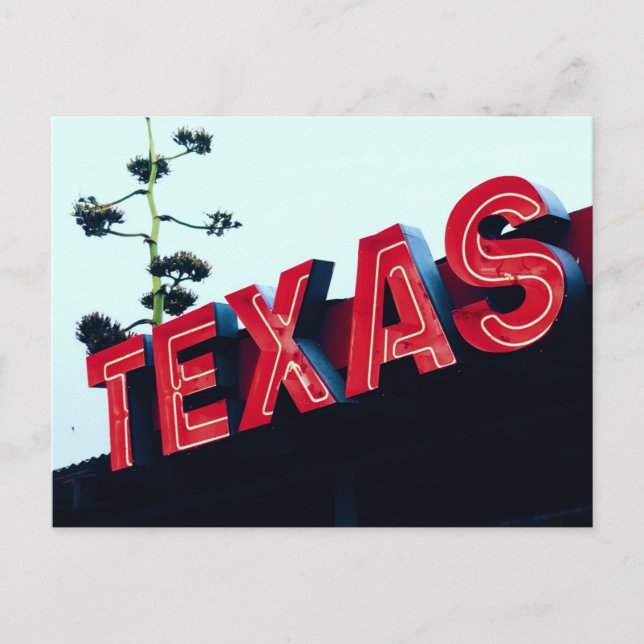 Postal Texas Red Neon Lights USA America (Anverso)