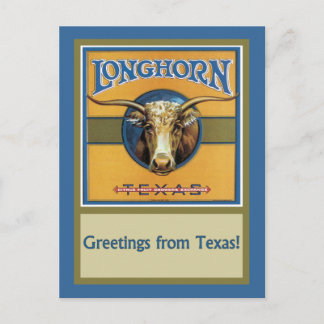 Postal Texas Steer Longhorn