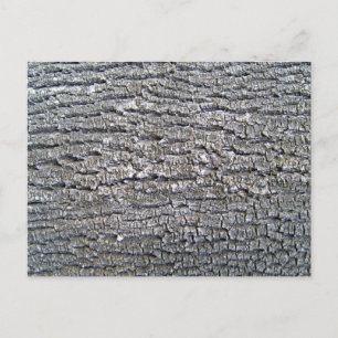 Postal Texto de barra de árbol horizontal