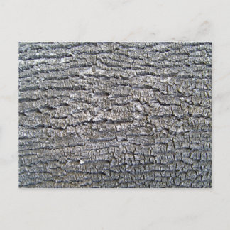 Postal Texto de barra de árbol horizontal